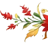 🌺