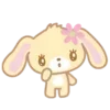 🐰