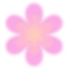 🌸