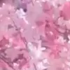 🌸