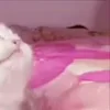 ⭐
