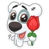 🌹