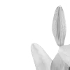 🦴