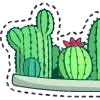 🌵