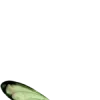 🤩