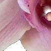⭐