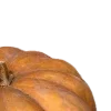 🎃