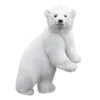🐻