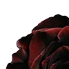 🥀