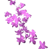💐