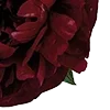🥀