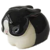 🐰