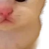 🍓