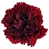 🥀