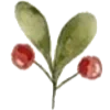 🌱