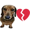 🐕