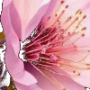 ⭐