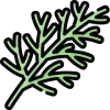 🌿