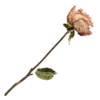 🥀