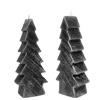 🌲