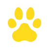 🐾