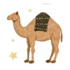 🐪