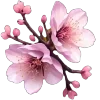 🌸