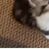 ⭐