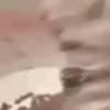 ⭐