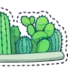 🌵