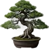 🪴