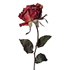 🥀