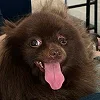 😁