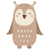 🦉