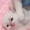 ⭐