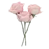 🥀