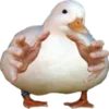 🦆