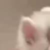 ⭐
