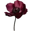 🥀