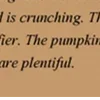 🍂
