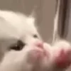 ⭐