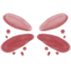 🦋