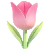 🌷