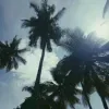 🌴