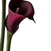 🥀
