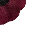 🥀
