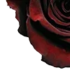 🥀