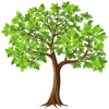 🌳