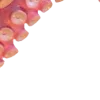 🐙
