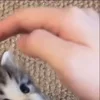 ⭐
